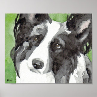 Border Collie Aquarell Poster