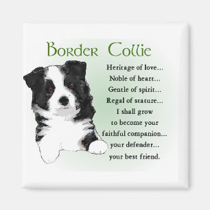 Border Collie Art Geschenke Magnet