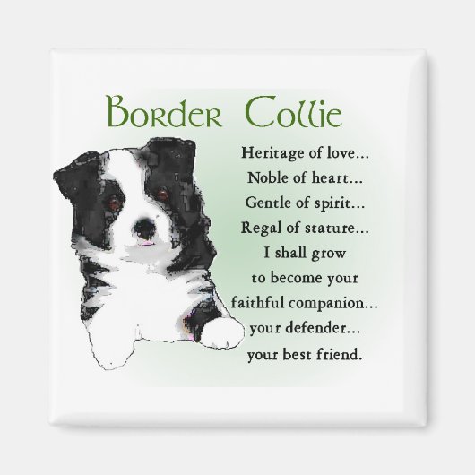Border Collie Art Geschenke Magnet (Vorne)