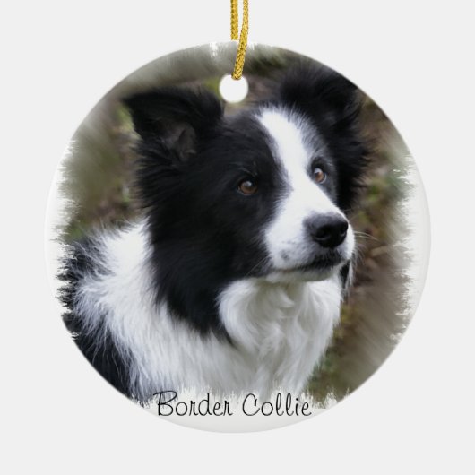 Border Collie Art Keramikornament (Vorne)