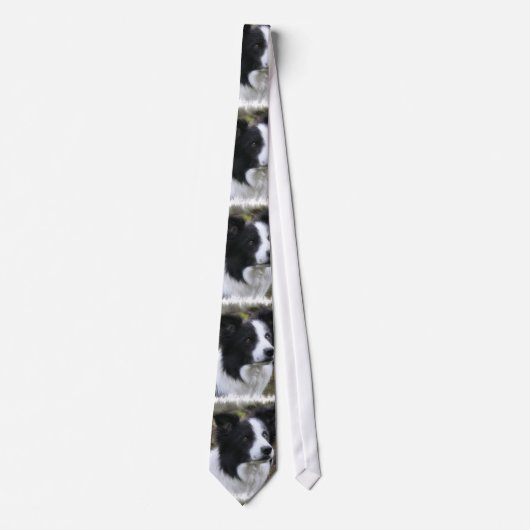 Border Collie Art Krawatte (Vorderseite)