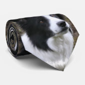 Border Collie Art Krawatte (Gerollt)
