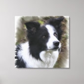 Border Collie Art Leinwanddruck (Vorderseite)