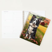 Border Collie auf dem Bauernhof Planer (Anzeige)