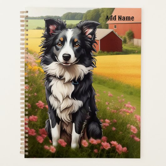 Border Collie auf dem Bauernhof Planer (Vorderseite)