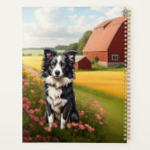 Border Collie auf dem Bauernhof Planer (Rückseite)