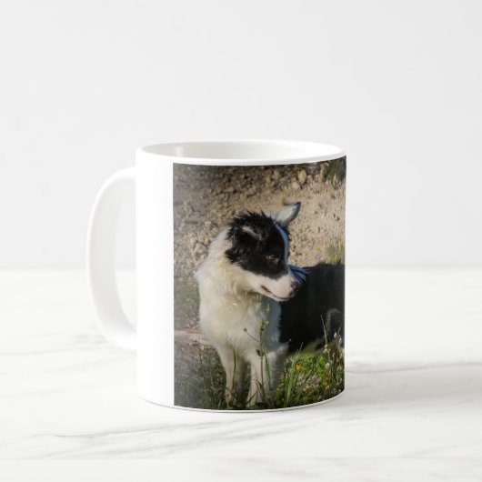 Border Collie Australian Shepherd Mix Kaffeetasse (Vorderseite Links)