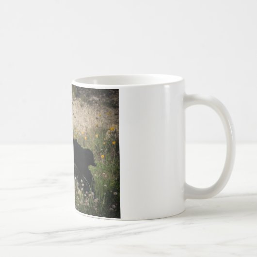 Border Collie Australian Shepherd Mix Kaffeetasse (Rechts)