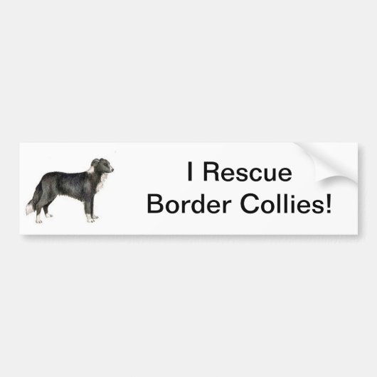 Border-Collie Autoaufkleber (Vorne)