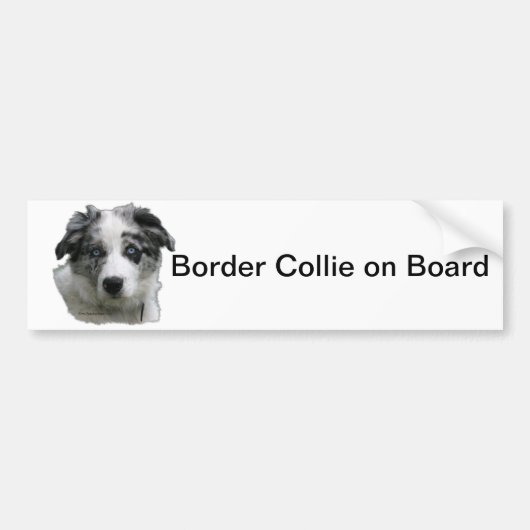Border-Collie Autoaufkleber (Vorne)