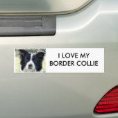 Border-Collie Autoaufkleber (Auf Auto)