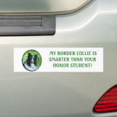 Border-Collie Autoaufkleber (Auf Auto)