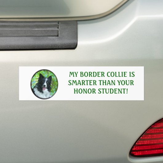 Border-Collie Autoaufkleber (Auf Auto)