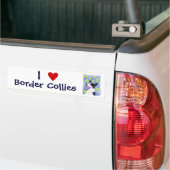 Border Collie Autoaufkleber (Auf Lkw)
