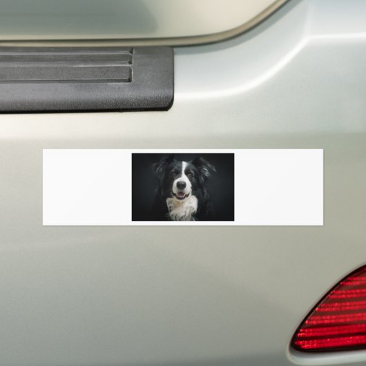 Border-Collie Autoaufkleber (Auf Auto)
