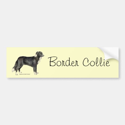 Border-Collie Autoaufkleber (Vorne)
