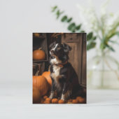 Border Collie Autumn Pumpkins Postkarte (Stehend Vorderseite)