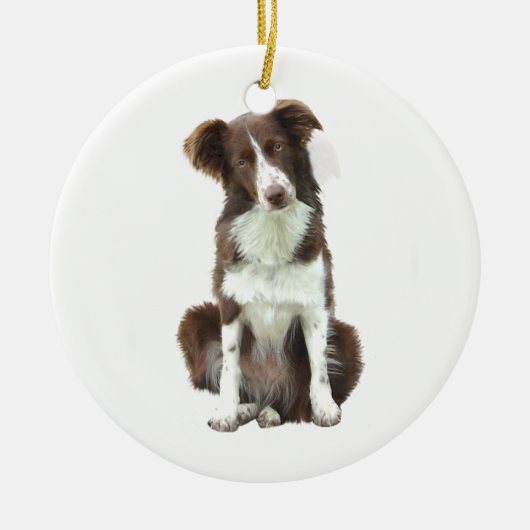 Border Collie (B) - braun und weiß Keramikornament (Vorne)