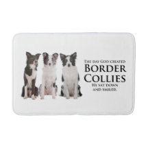 Border-Collie-Bad-Matte