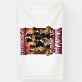 Border Collie   Banner (Vertikal)