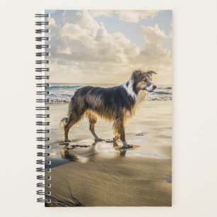 Border Collie Beach Fun   Hund Planer