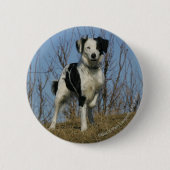 Border-Collie-Bein angehoben Button (Vorderseite)
