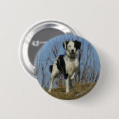 Border-Collie-Bein angehoben Button (Vorne & Hinten)