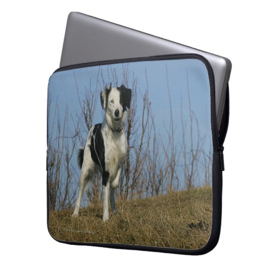 Border-Collie-Bein angehoben Laptopschutzhülle (Vorderseite Links)