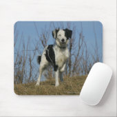 Border-Collie-Bein angehoben Mousepad (Mit Mouse)