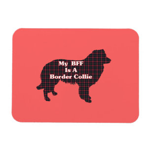 Border Collie BESTE FREUNDIN Magnet