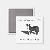 Border Collie Better Magnet (Vorderseite/Rückseite)