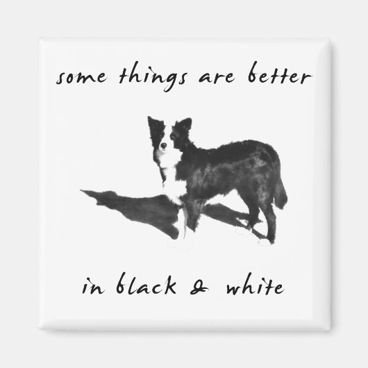 Border Collie Better Magnet (Vorne)