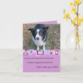 Border Collie Birthday Grußkarte Karte (Gelbe Blume)