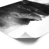 Border Collie Black and White Foto (Ecke)