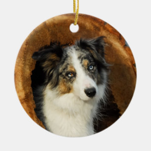 Border-Collie blauer Merle Hundefall Dekor Keramikornament
