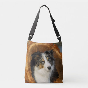 Border Collie Blue Merle Dog Foto - on Tragetaschen Mit Langen Trägern