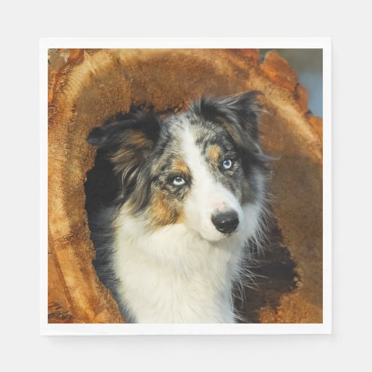 Border Collie Blue Merle Dog Head Foto Pet on - Serviette (Vorderseite)