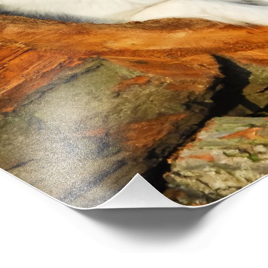 Border Collie Blue Merle Dog - Paperprint Fotodruck (Ecke)