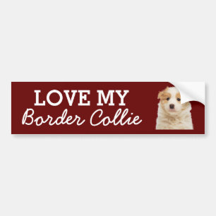 Border Collie bumper sticker Autoaufkleber