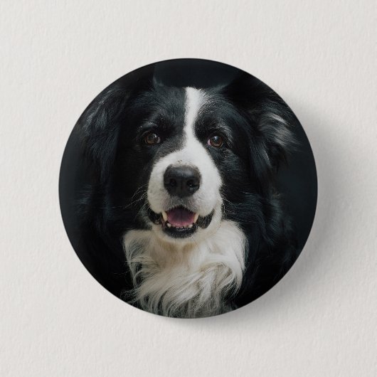 Border-Collie Button (Vorderseite)