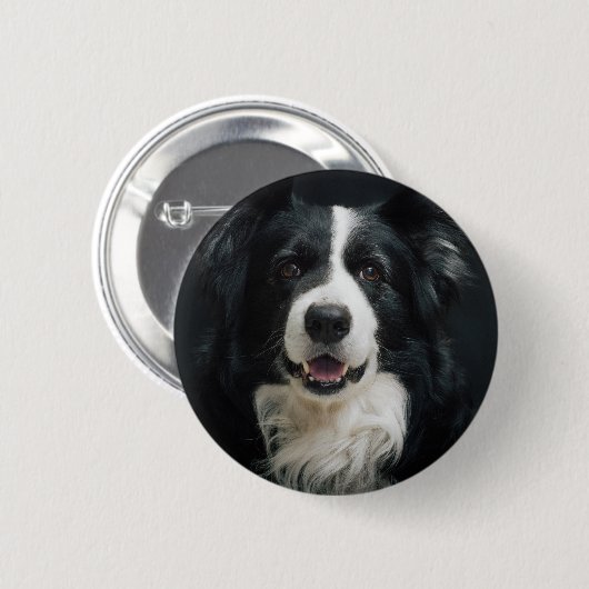 Border-Collie Button (Vorne & Hinten)