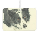Border Collie Car Air Freshener Autolufterfrischer (Rückseite)