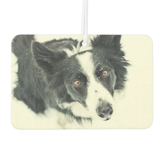 Border Collie Car Air Freshener Autolufterfrischer (Rückseite)