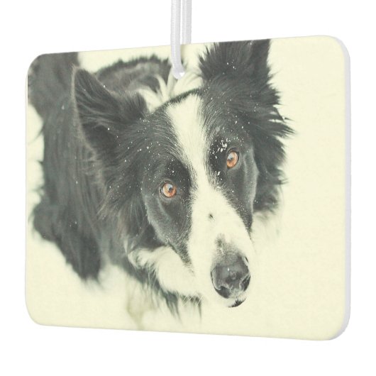 Border Collie Car Air Freshener Autolufterfrischer (Links)