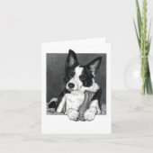 Border Collie Card - "Magpie" Karte (Vorderseite)
