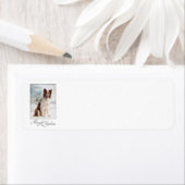 Border Collie Christmas (Insitu)