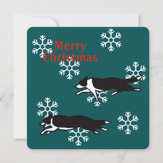 Border collie Christmas card カード Karte (Vorderseite)