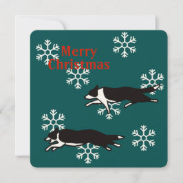 Border collie Christmas card カード Karte