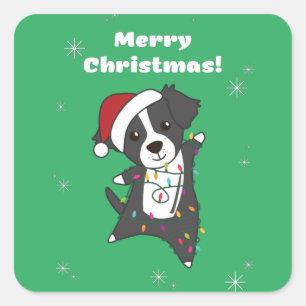 Border Collie Christmas Dog Wintertiere Hunde q Quadratischer Aufkleber
