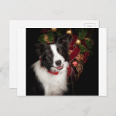 Border Collie Christmas Feiertagspostkarte (Vorne/Hinten)